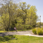 Person sitting on a bench, along a trail, with trees in the background, in Keiser Park.