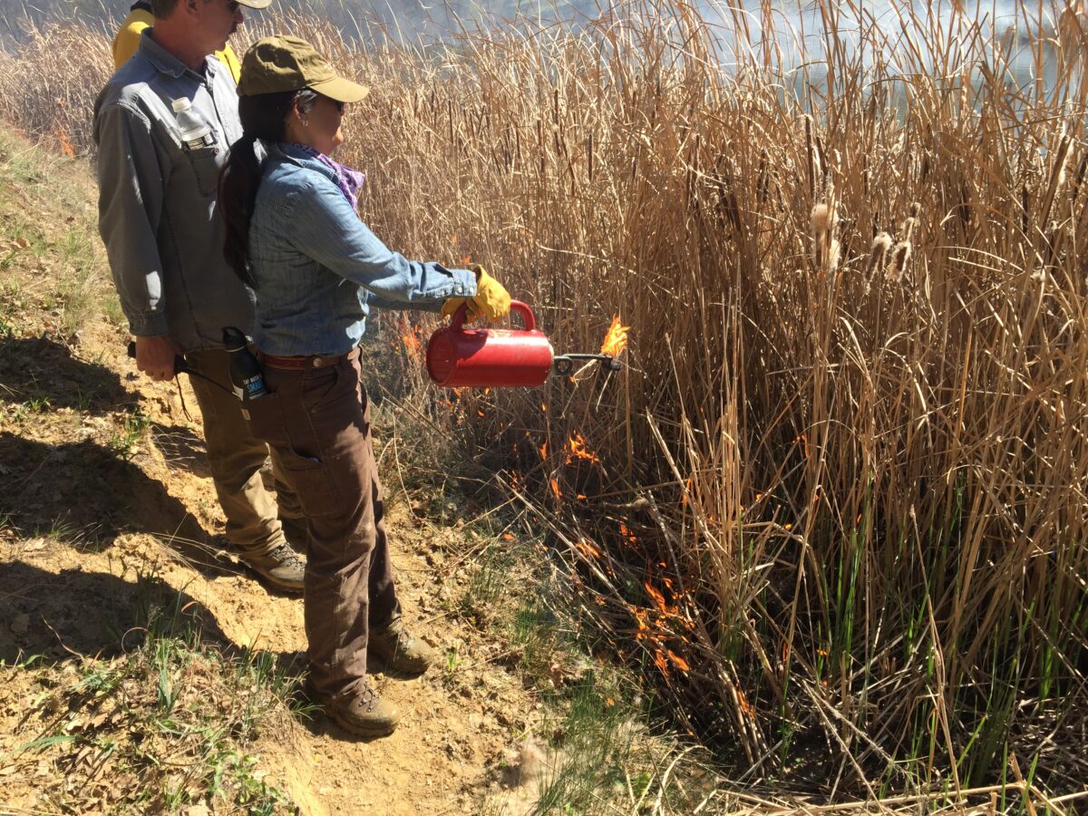 Leslie Lew working a prescribed burn.
