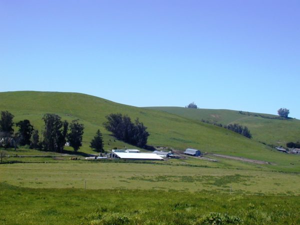 Maffia Ranch sits in an open space at the base of lush green hills.