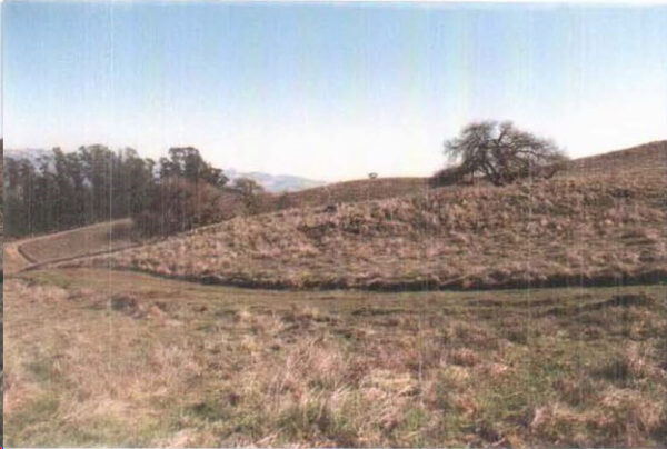 Mary Ranch