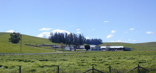 Mazetta DairyThe Mazetta Dairy sits in an open meadow.