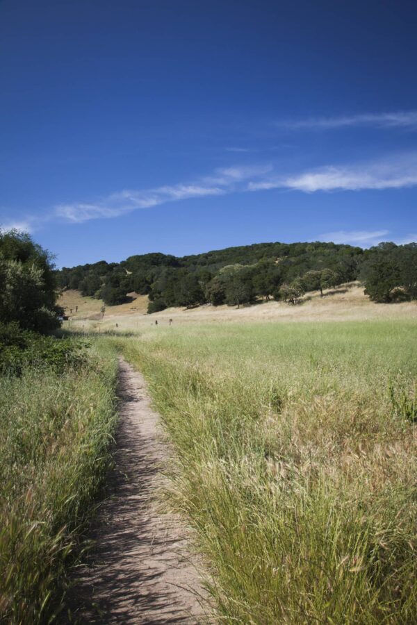 walking path