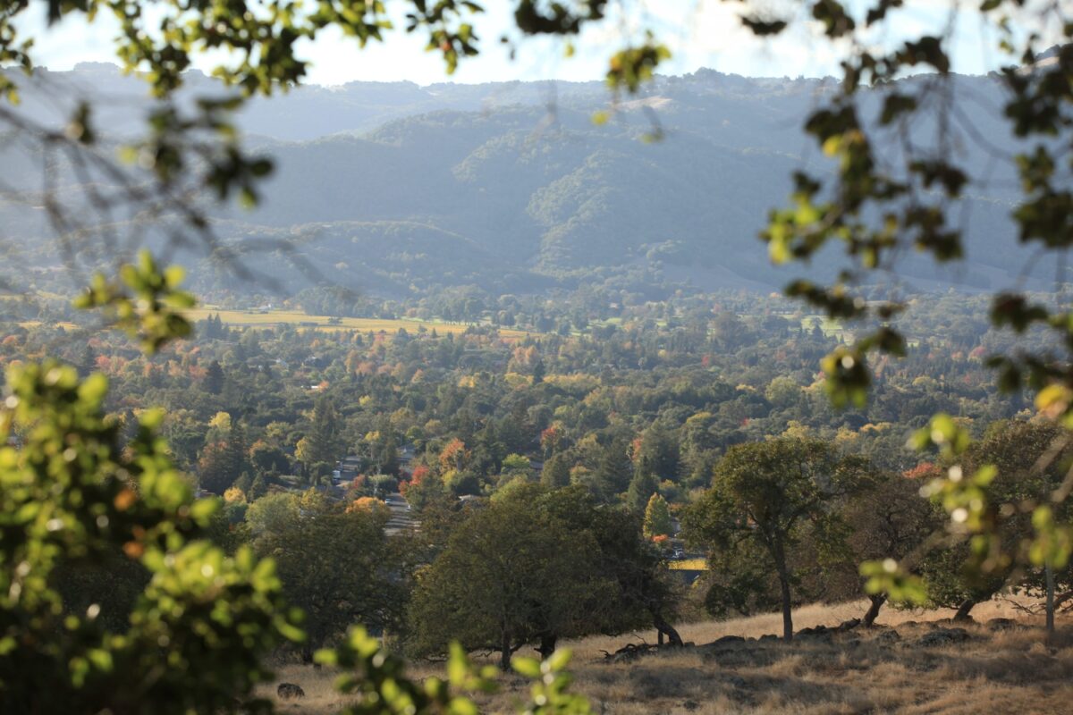 View of Montini