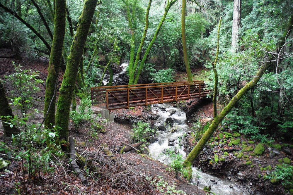 wood bridge over a small creek