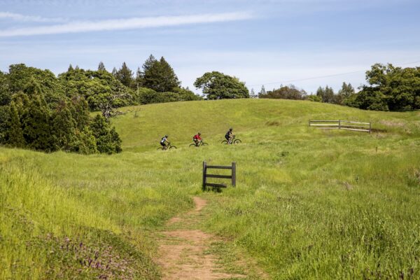 Bikers at sonoma mountain