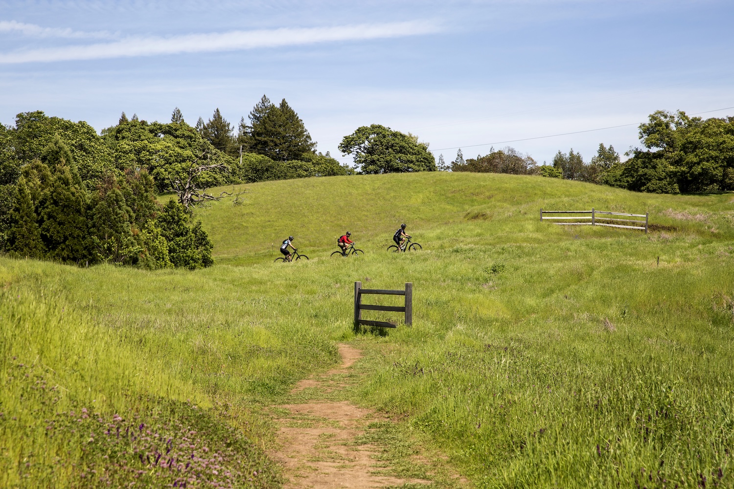 Summit Saturday at North Sonoma Mountain