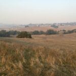 View of fields and valleys, facing north from Crane Creek Regional Park.