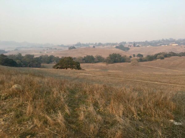 View of fields and valleys, facing north from Crane Creek Regional Park.