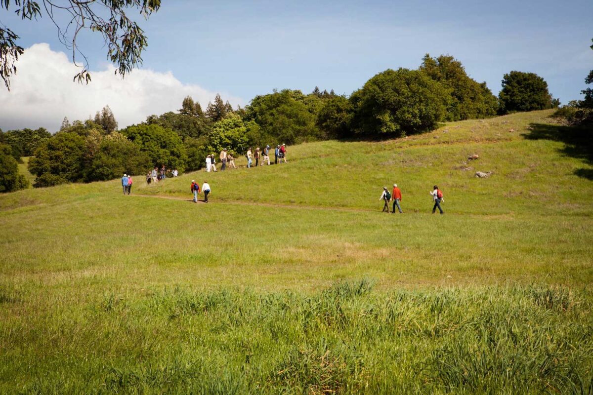 a group of people on a hike