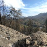 Saddle Mountain Open Space Preserve after the Glass Fire