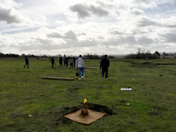 Students walking away across a green field, with a small area of cleared earth marked with a flag where a native plant has been planted.