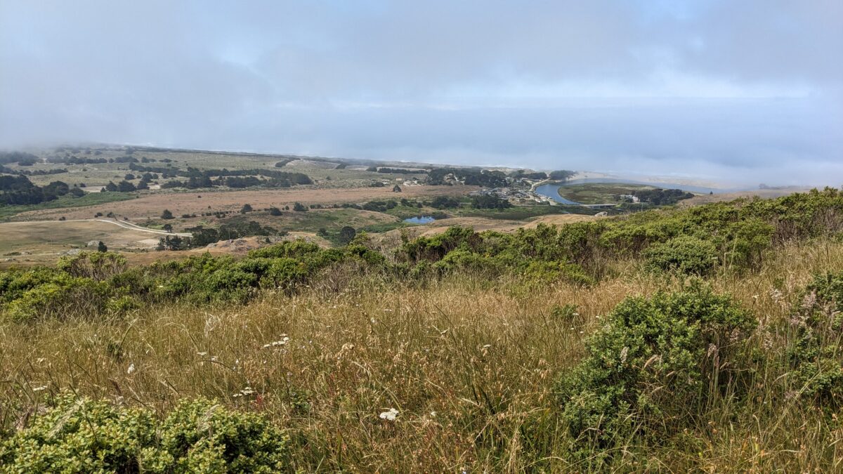 Hillside with vegetation