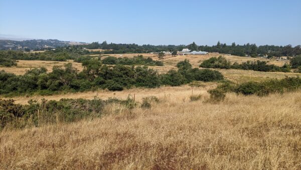 Landscape view of Gillis Ranch Preserve.