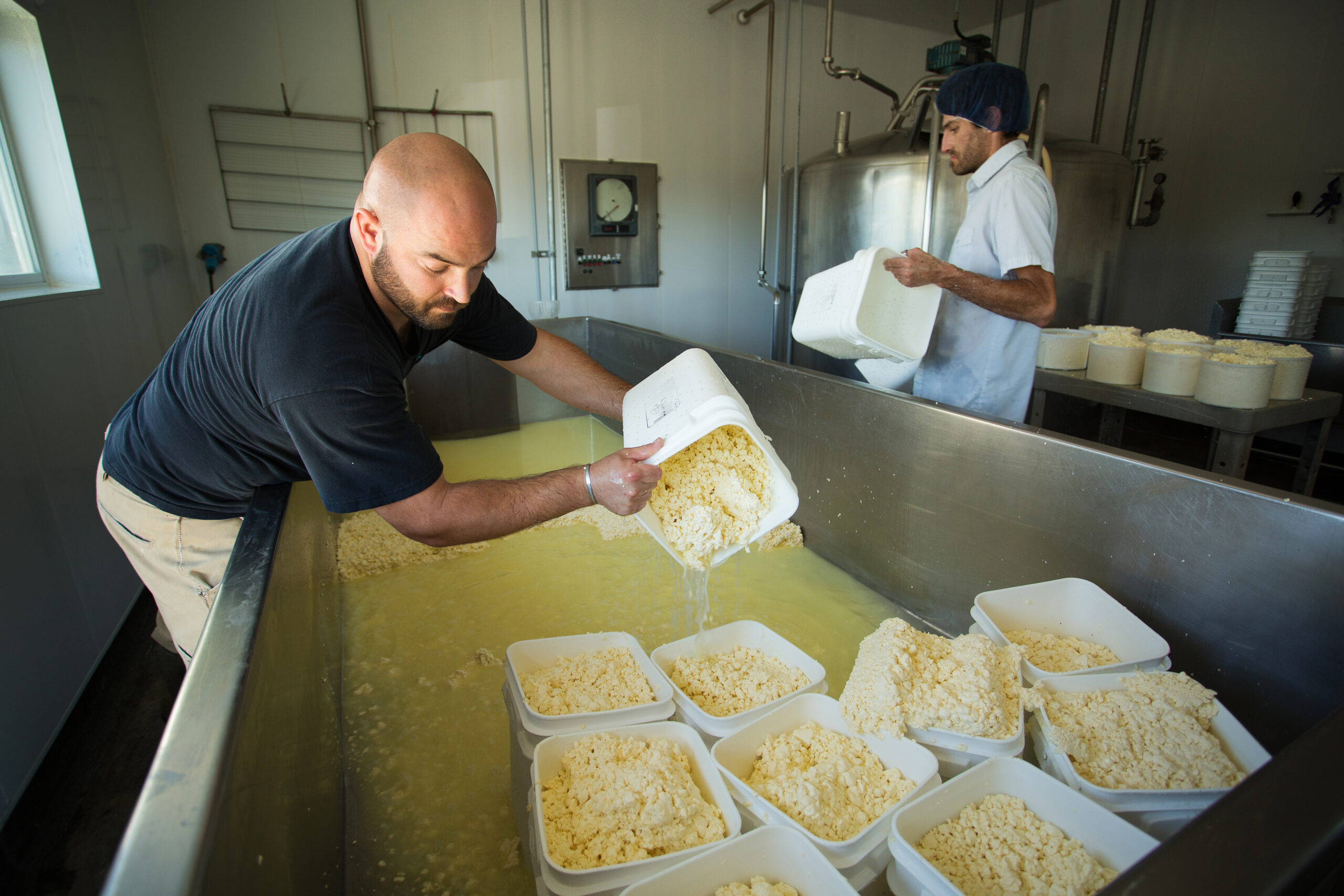 cheese makers
