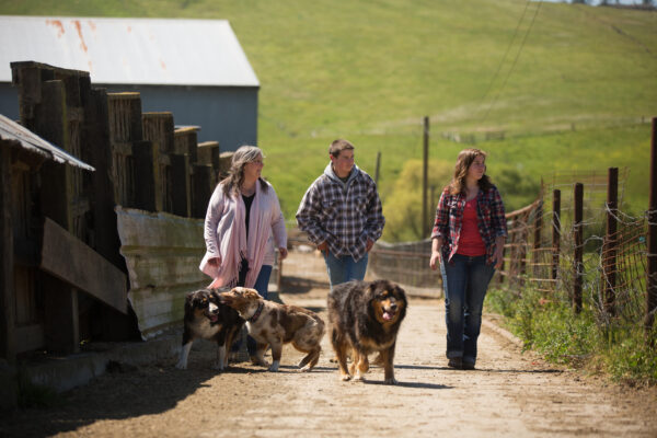 Pacheco family members and three dogs