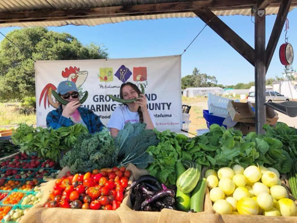 Two people, standing at a produce stands with vegetables in the foreground. They are holding cucumbers in front of their faces so they look like big smiles.