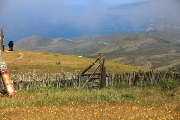 coastal view from Poff Ranch