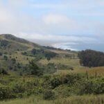 View from Wright Hill Ranch, looking across green hills towards the Pacific Ocean.