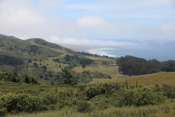 View from Wright Hill Ranch, looking across green hills towards the Pacific Ocean.