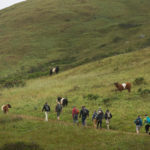 Several people walking up trail on green hillside