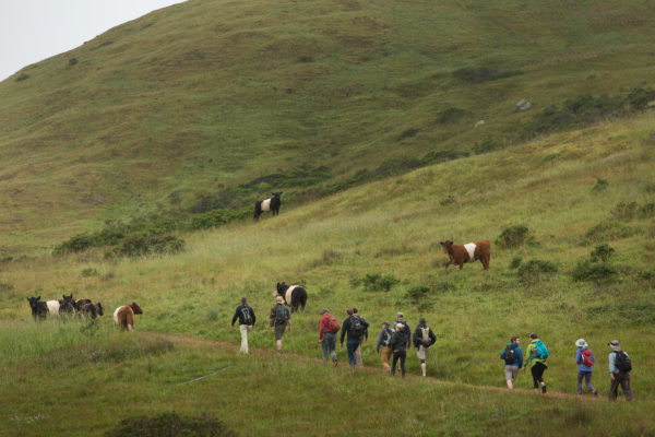 Several people walking up trail on green hillside