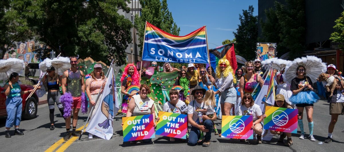 A group of several people posing together and smiling at the camera at Sonoma County Pride. They are wearing costumes and holding signs that say "Out in the Wild"