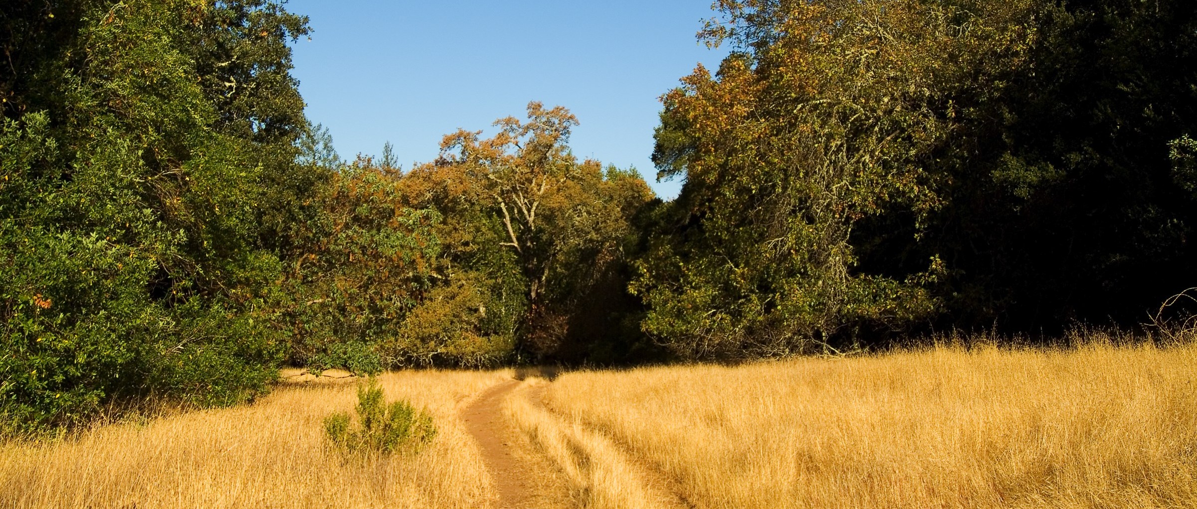Dirt trail at Glen Oaks Ranch