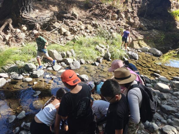 Kids playing and exploring in creek bed