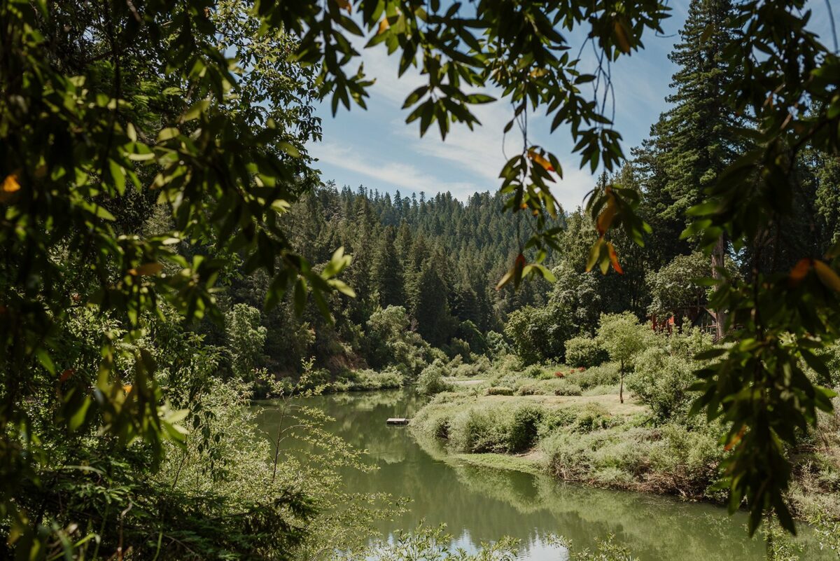 View of the Russian River