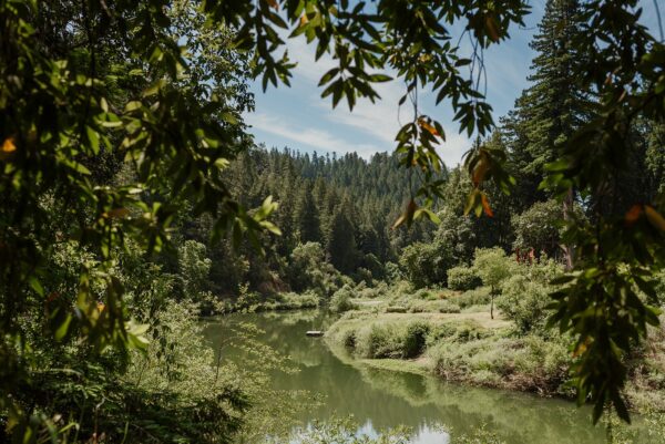 View of the Russian River