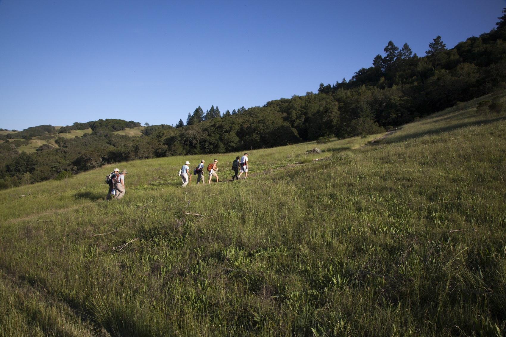 Volunteers hiking on saddle mountain