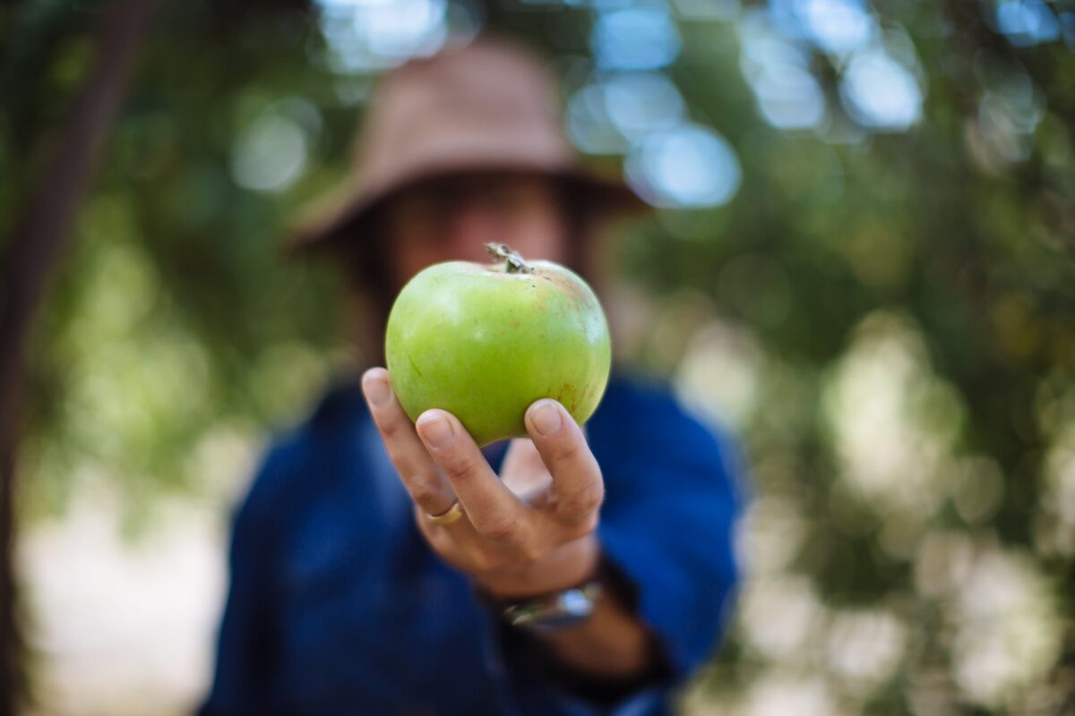 close up of a hand holding a green apple