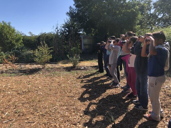 Row of children all looking up through binoculars.