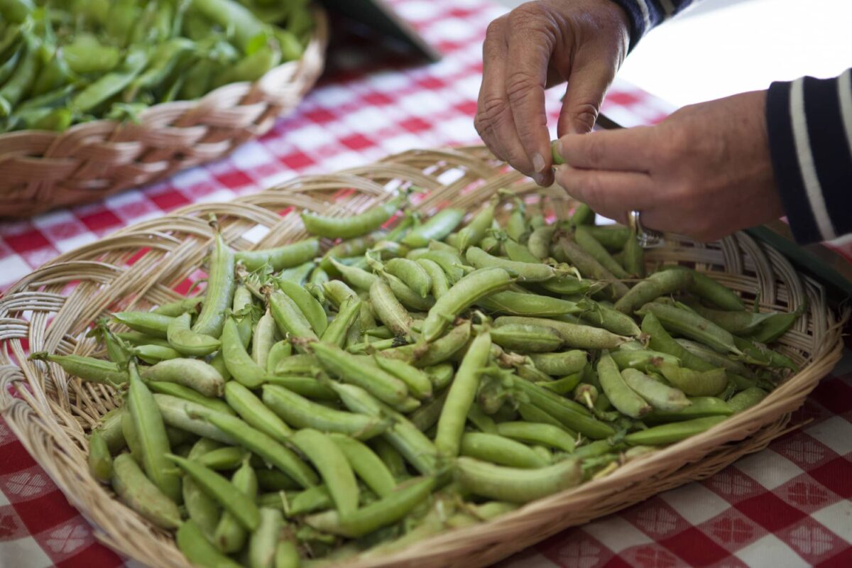 hands grabbing from a basket of peas