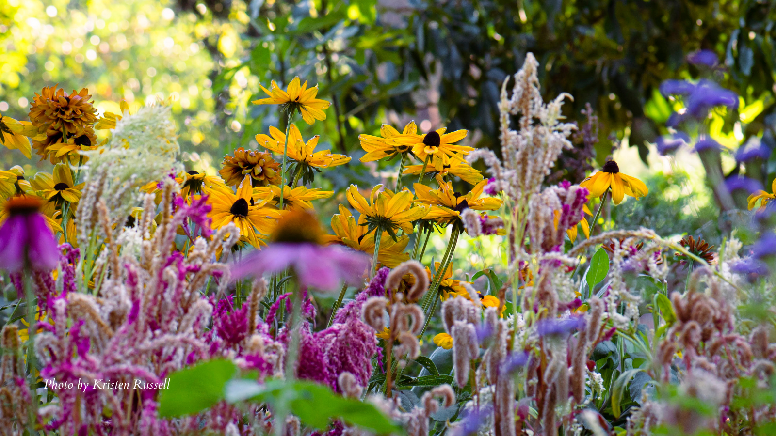 Spring Gardening Workshop