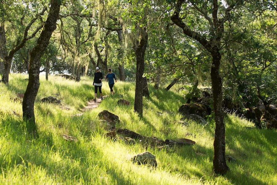 two women on a walk