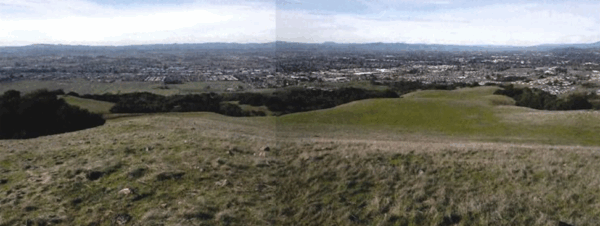 Panorama historical photo of Taylor Mountain. Its a view of green grass looking out at a city in the background.