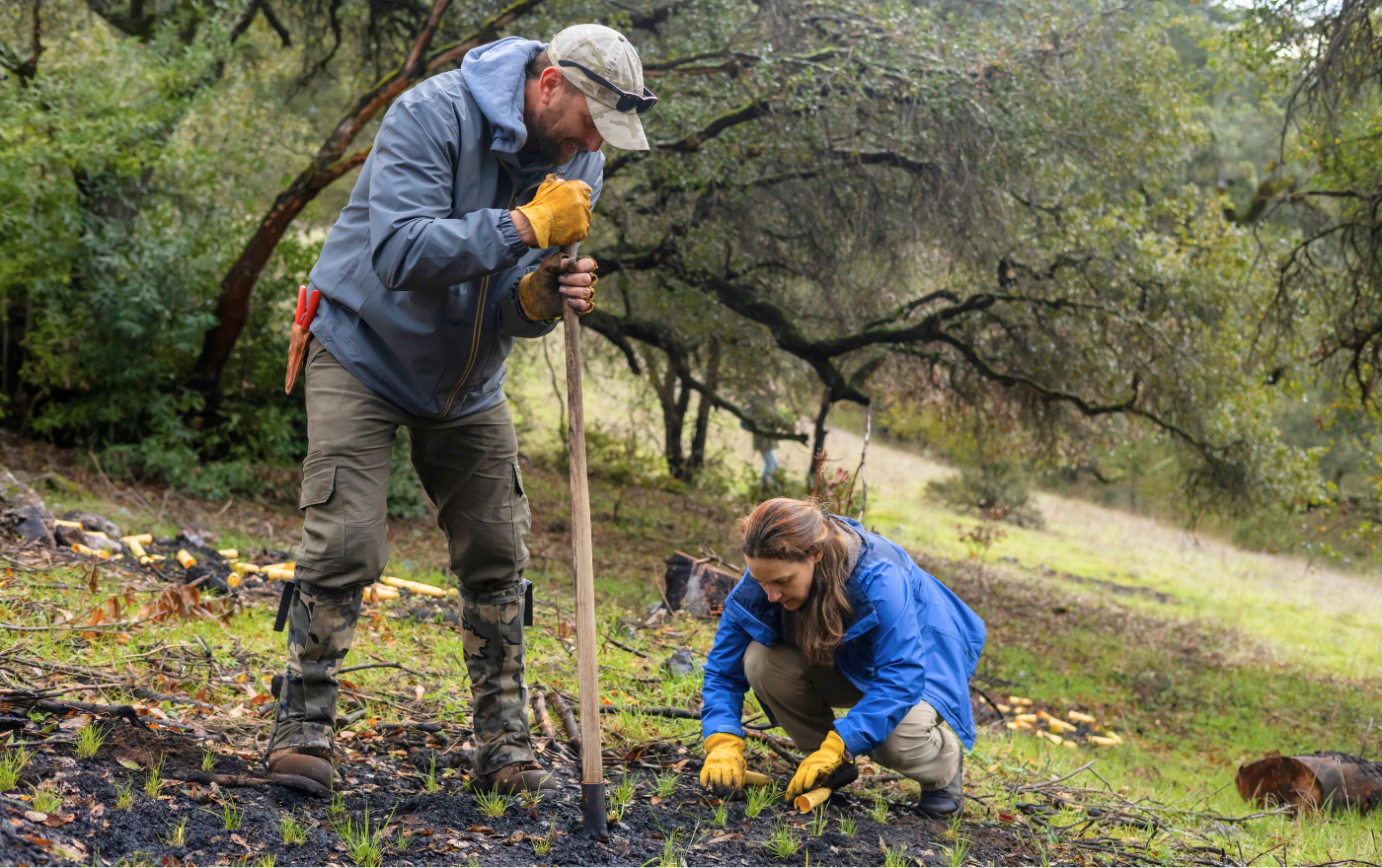 Tending the Land for Fire Resilience