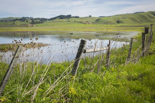 fence along a waterway
