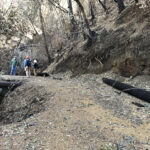 Staff in hard hats walking along trail through burned land on Weeks Ranch North.