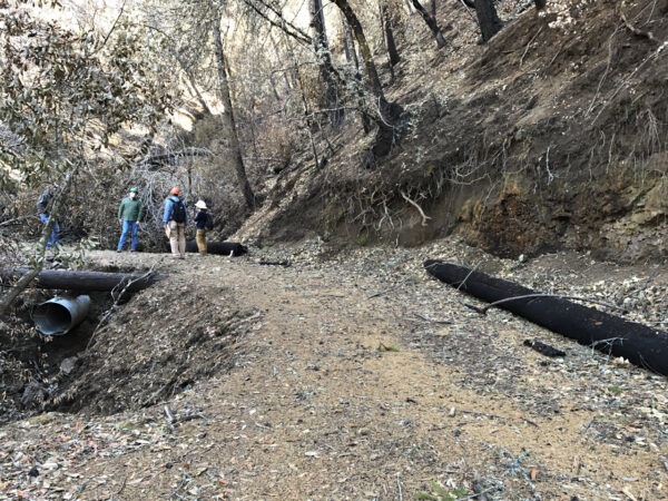 Staff in hard hats walking along trail through burned land on Weeks Ranch North.