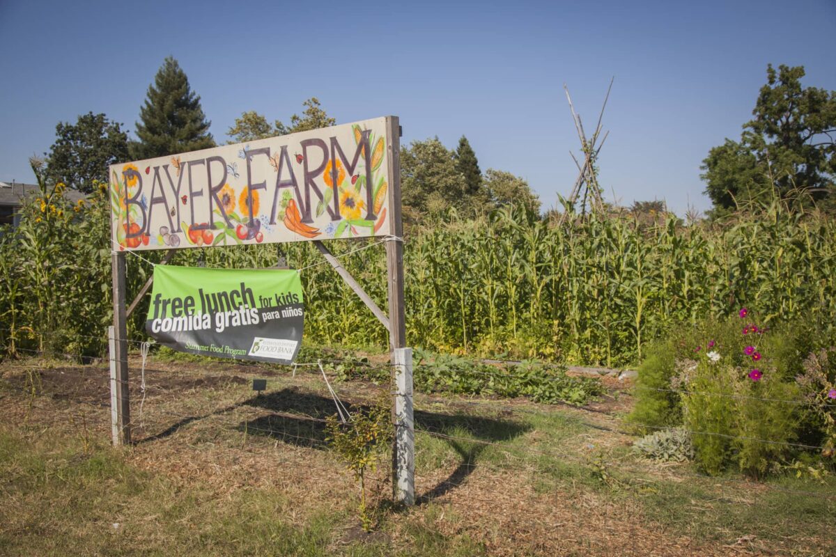 sign to Bayer Farm