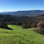 2018 re-generation on Calabazas Creek Open Space Preserve.