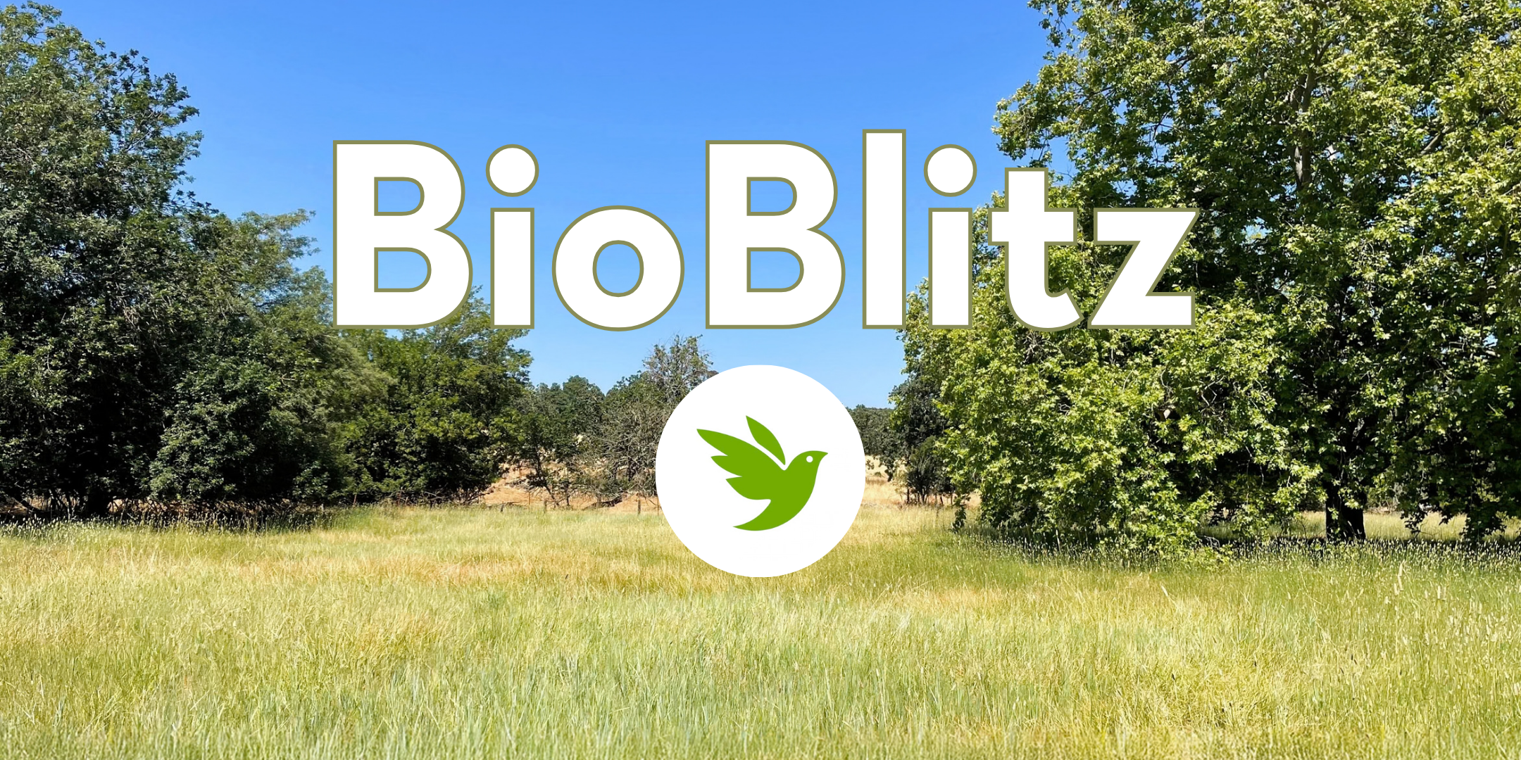 Earth Day BioBlitz on the Southeast Greenway