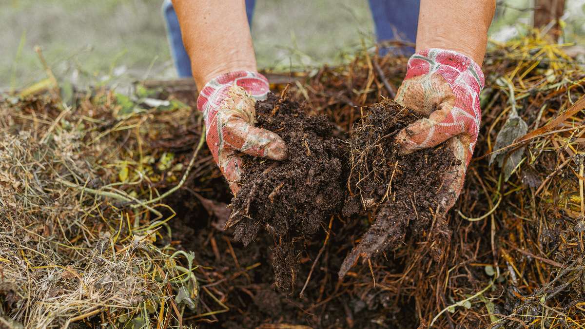 Community Compost Workshop & Soil Health Adventure