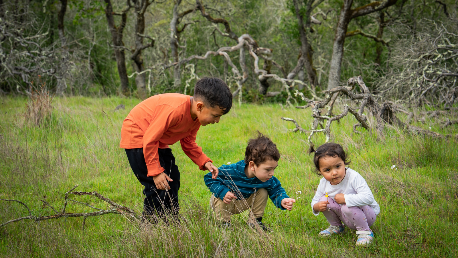 Familias al Aire Libre: Primavera en el monte Pole