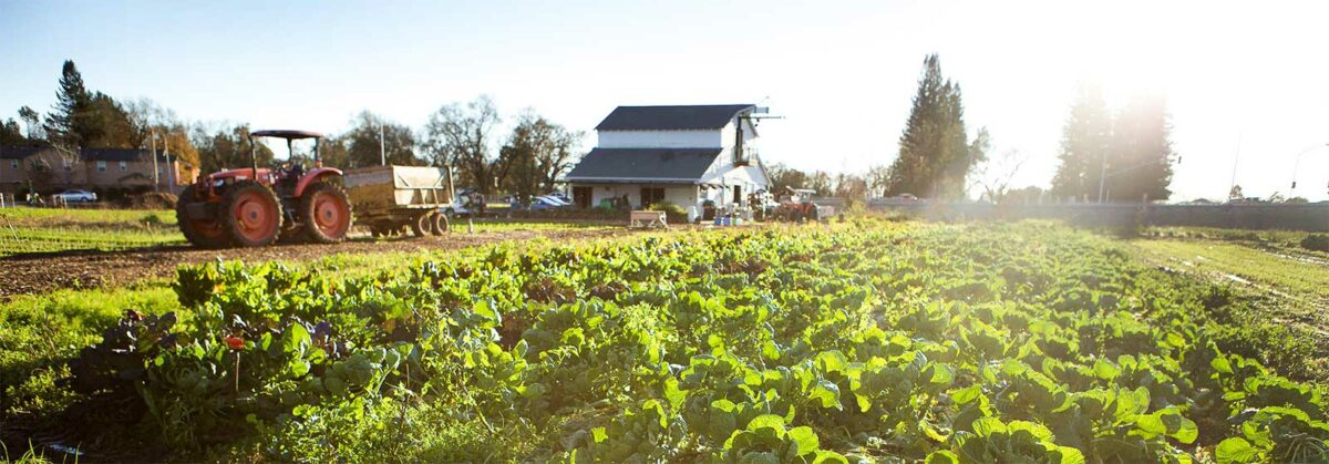 A Sonoma County farm