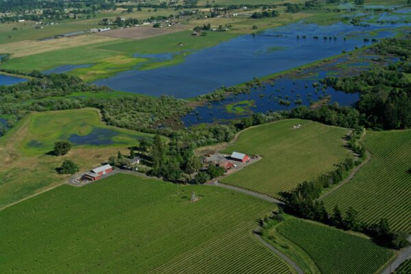 Aerial view of green farmland and blue ponds.