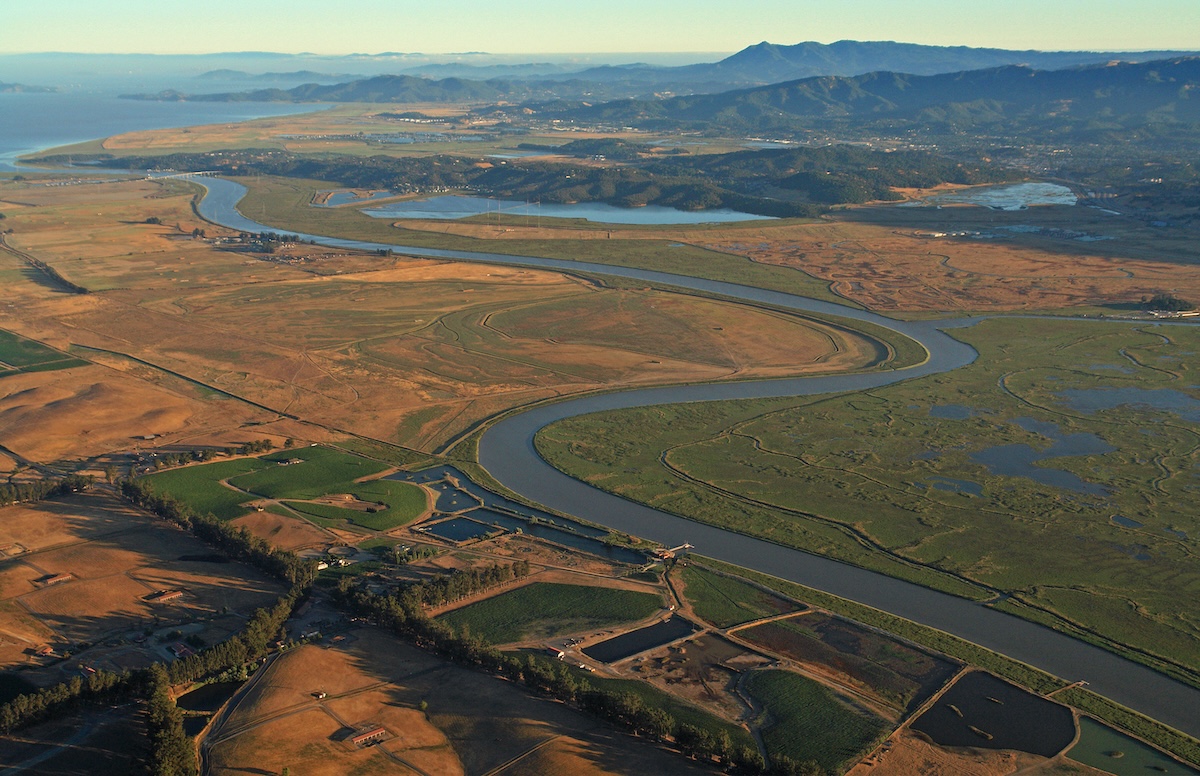 Aerial view of the petaluma river