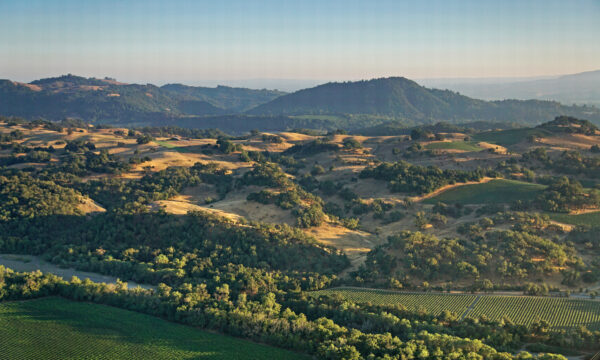 Fitch Mountain Park & Open Space Preserve
